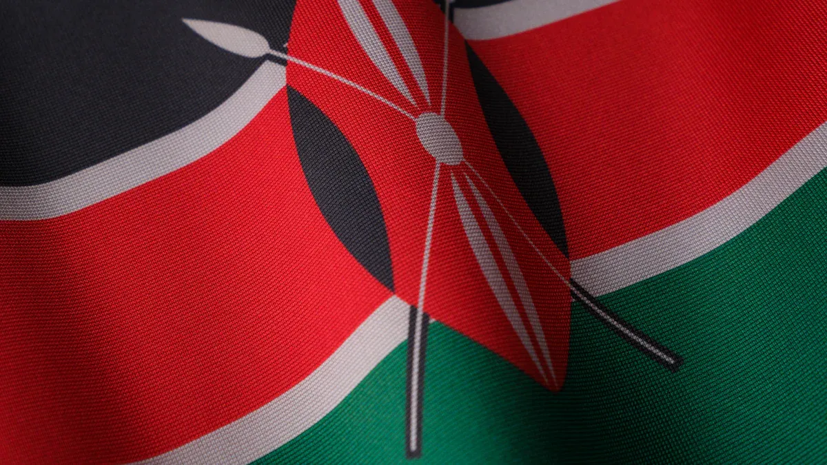 Kenya: Unpacking the Costs for Used Excavators